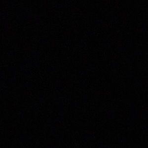 Meet your Posher, Ronald